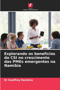 Explorando os benefícios do CSI no crescimento das PMEs emergentes na Namíbia