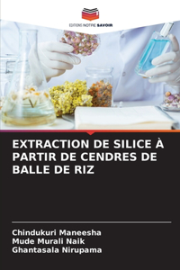 Extraction de Silice À Partir de Cendres de Balle de Riz