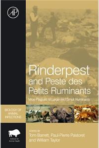 Rinderpest and Peste Des Petits Ruminants