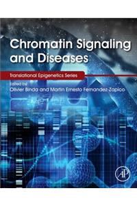 Chromatin Signaling and Diseases