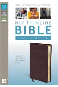 Thinline Bible-NIV-Large Print