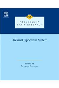 Orexin/Hypocretin System