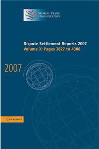 Dispute Settlement Reports 2007: Volume 10, Pages 3827-4300