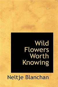 Wild Flowers Worth Knowing