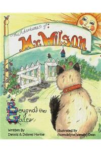 Adventures of Mr Wilson