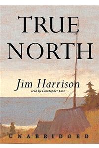 True North