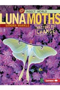 Luna Moths