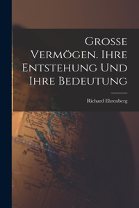 Grosse Vermögen. Ihre Entstehung und ihre Bedeutung