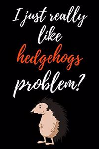 I Just Really Like Hedgehogs, Problem?
