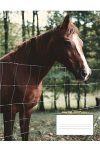 Journal - 100 Pages