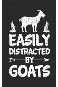 Easily Distracted by Goats