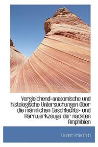 Vergleichend-Anatomische Und Histologische Untersuchungen Uber Die M Nnlichen Geschlechts- Und Harnw