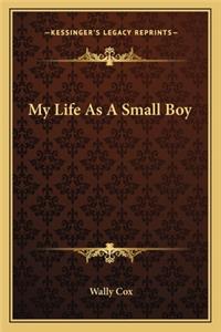 My Life As A Small Boy