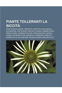 Piante Tolleranti La Siccita