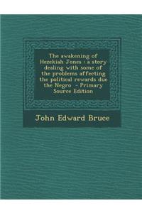 The Awakening of Hezekiah Jones: A Story Dealing with Some of the Problems Affecting the Political Rewards Due the Negro - Primary Source Edition