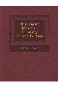 Insurgent Mexico - Primary Source Edition