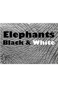 Elephants Black & White 2017