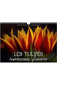 Tulipes Impressions Florales 2017