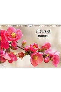 Fleurs Et Nature 2018