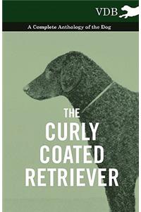 The Curly Coated Retriever - A Complete Anthology of the Dog -