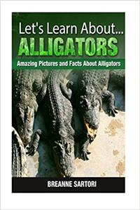 Alligators (Lets Learn About)