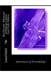 Best Friends Mysteries of Topanga Canyon Grey Scale Edition