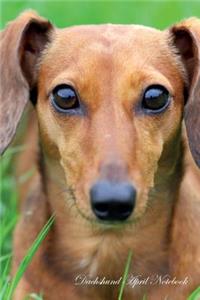 Dachshund April Notebook Dachshund Record, Log, Diary, Special Memories, to Do List, Academic Notepad, Scrapbook & More