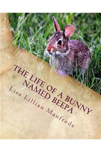 The Life of a Bunny Named Beepa