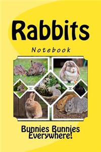 Rabbits