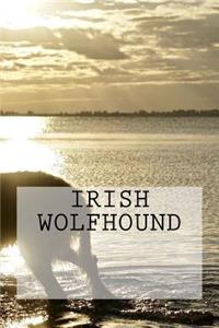 Irish Wolfhound