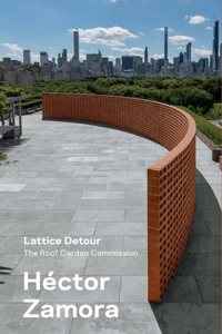 Hector Zamora: Lattice Detour