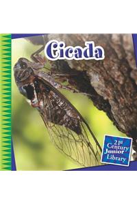 Cicada