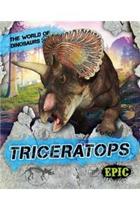 Triceratops