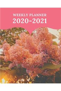 Weekly Planner 2020-2021