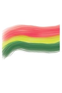 Bolivia - Bolivian flag Notebook, notepad, holiday in Bolivia, lined, 120 Pages as gift for birthday or christmas