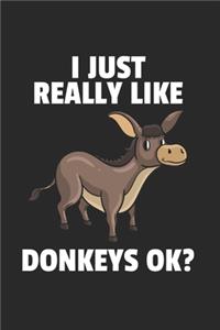 Esel Notizbuch