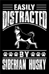 Easily Distracted By Siberian Husky