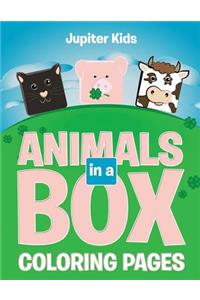 Animals in a Box (Coloring Pages)