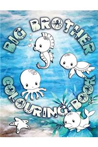 Big Brother Colouring Book