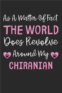As A Matter Of Fact The World Does Revolve Around My Chiranian