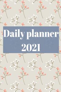 2021 Daily Planner: 12 Month Organizer, Agenda for 365 Days