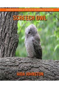 Screech Owl: Amazing Pictures & Fun Facts on Animals in Nature