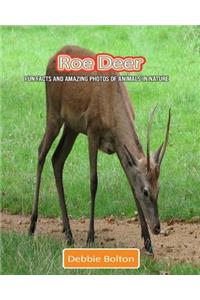 Roe Deer: Fun Facts and Amazing Photos of Animals in Nature