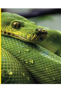 Green Snake Notebook