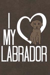 Labrador