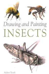 Drawing and Painting Insects