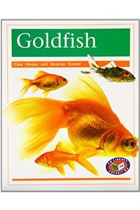 Goldfish PM Non Fiction Animal Facts Level 16 Pets Orange