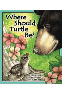 Where Should Turtle Be?