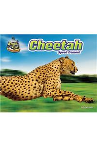 Cheetah