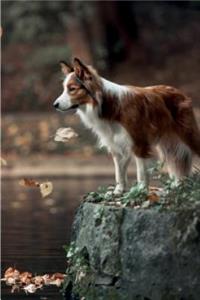 Border Collie August Notebook & Journal. Productivity Work Planner & Idea Notepad